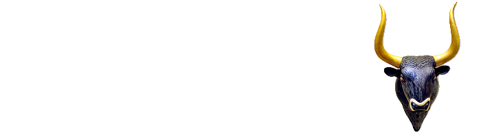bull kopie.png